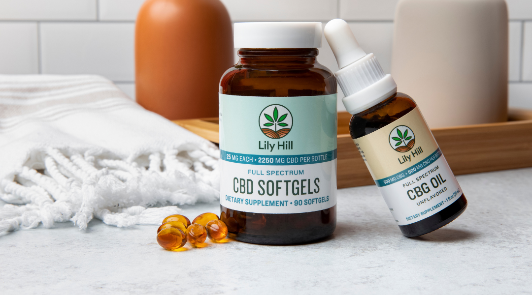 The Beginner's Guide to CBD, Part 3: CBD and the Endocannabinoid System 